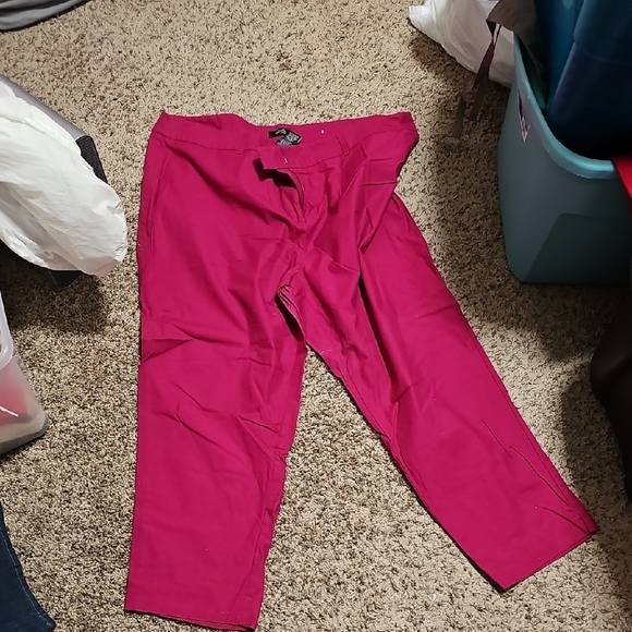 Vibrant Pink Pants. Plus Size 22w. - Picture 2 of 3